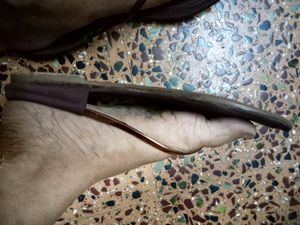 Jig &amp; Sid Latest Trendy Women Flats