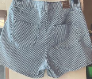 Striped Embroidered Shorts