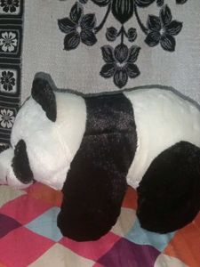 A4 Panda Best Of Birthday Gift