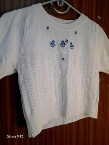 White Crop Top Korean Blue Embroidery
