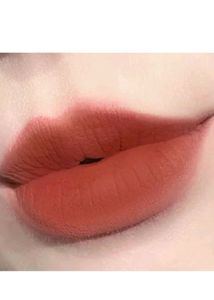 Novo Lip Mud - Shade Red Brown