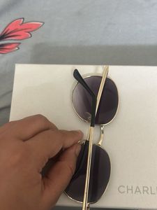 Sunglasses with golden detailing