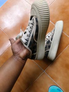 Spotted Canvas Sneakers