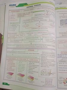 Allen Biology NCERT Fast Track - Used