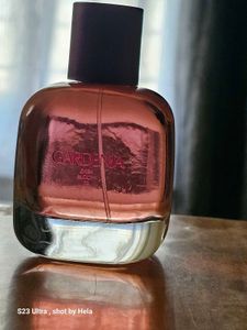 Zara Gardenia Bloom Perfume 08ml DECANT