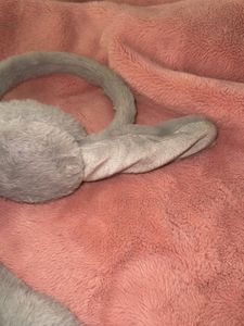 Cute Bunny Ear Warmer!