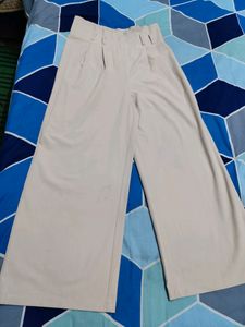 Branded Stylish Pant