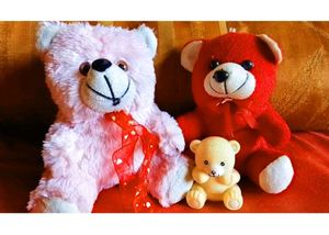 Teddy 🧸 For Gift /Kids...🤩
