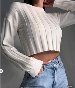 New with tag Pinterest Ribbed Crop Top - Long Slee
