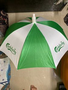 Green/White Umbrella