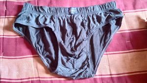 ZOIRO Brief