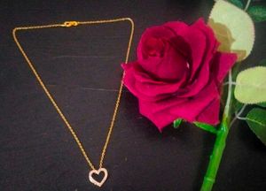 Minimial Aesthetic Artificial Heart Chain