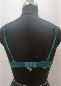 Padded Bra 36B