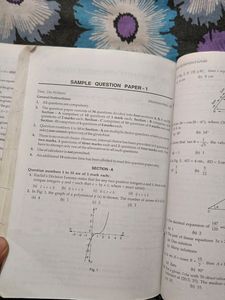 Maths Rd Sharma For Class 10th