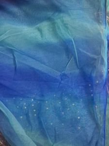 Ocean colored zari embroidered Sari
