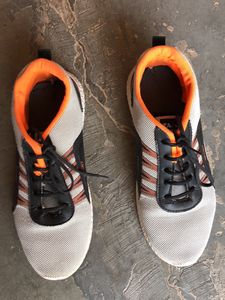 Multi Colour Sports Shoe For Men