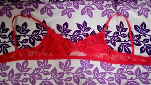 Colorful Bra Bundle - 5 Bras
