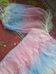 Multicolor Crop Top