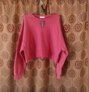 Begie Minsshop Sweatshirt ❤️