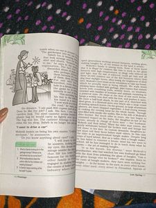 Class XII Textbook Set(vistas and flamingo)