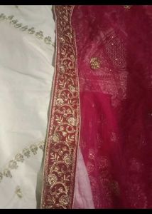 Elegant Embroidered Lehenga With Velvet Border