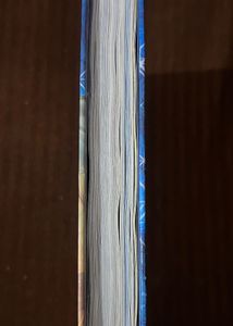 Geronimo Stilton: “The Quest for Paradise” book