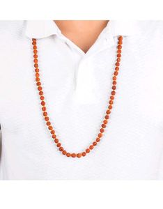 5 Mukhi Japa Rudraksha Mala