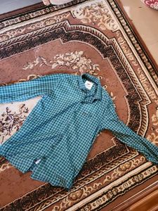 Green Lined Cotton Shirt