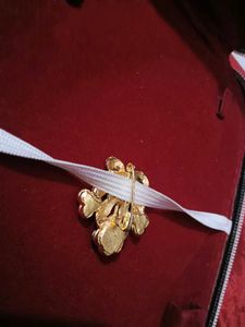 Saree Pin