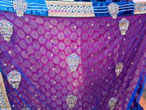 Red &amp; Blue Saree