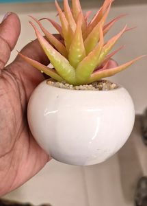 2pc Artificial Mini Desktop Plant