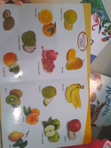 Vikas Board Book-Navneet-fruits