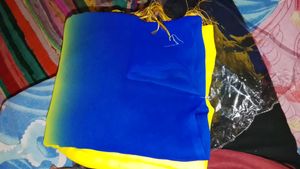 2 colour saree