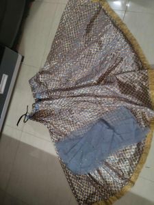 Grey Lehenga With Dupatta