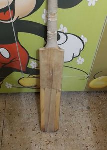 hi I want to sell this cricket bat