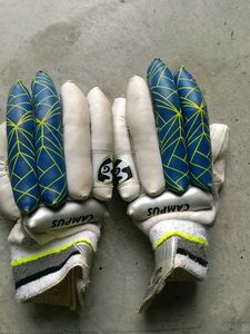 Cricket Kit