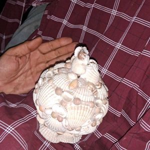 VINTAGE SEASHELL POT