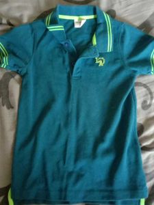 Teal & Lime Polo Shirt