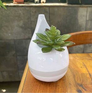 Everyday Organisers Sprout