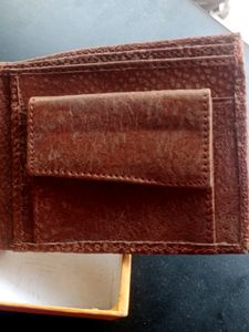 Men&#39;s Volet