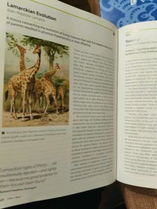 1001 Ideas That Changed the Way We Think