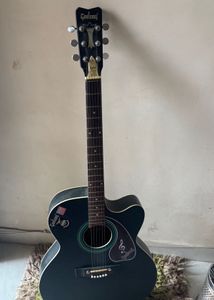 Acoustic Guitar