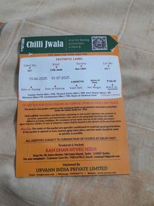 VEGETABLE SEEDS-CHILLI JWALA