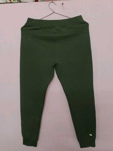 UNIQLO Green Trouser/Jogger