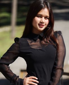 Stylish Black Sheer Top