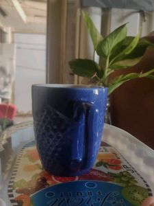 Blue Ceramic Mug @100 rs
