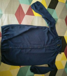 Blue Long crop Sleeve Top