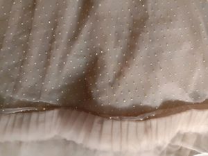 Lehnga  Choli Dress