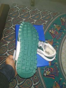 Stylish Green &amp; White Sneakers