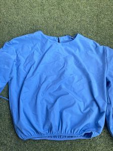 Zara Top With Designer Sleeves